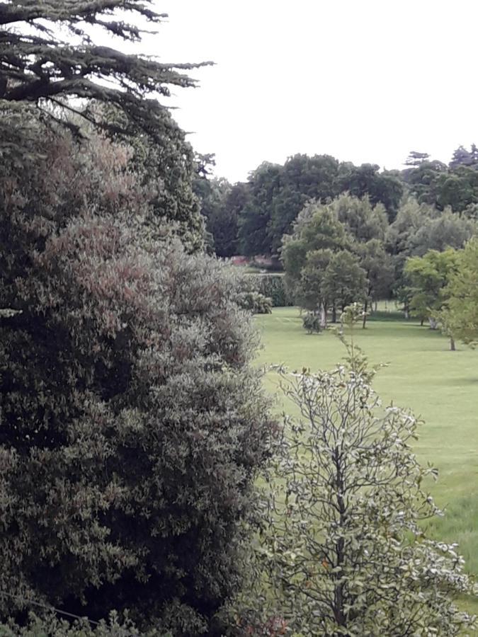 Havisham House Bed and Breakfast Woburn Εξωτερικό φωτογραφία